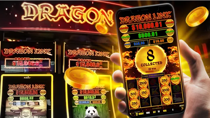 Bingo Winning Strategies on taya365.com