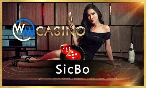 Beginner's Guide to taya365.com Slots